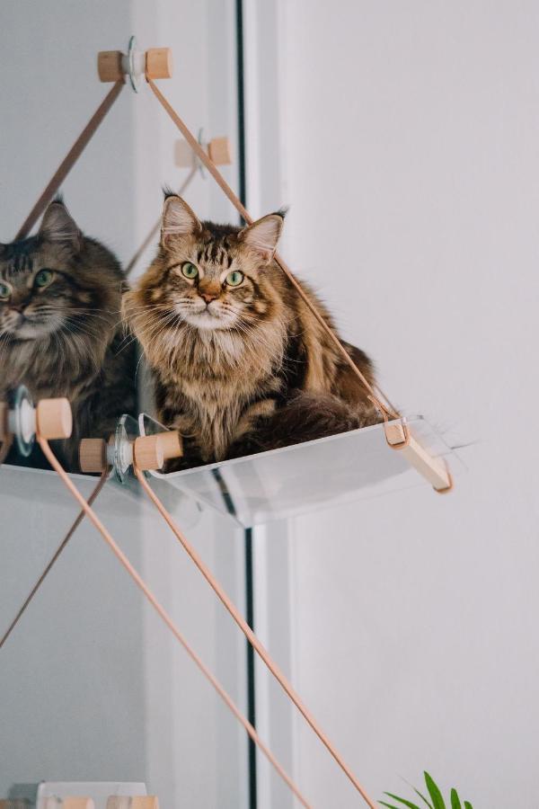 Meow Cafe & Hotel Patong 外观 照片
